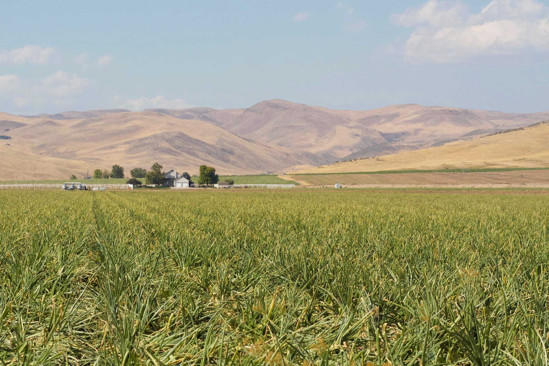 Aerial view of Weiser, Idaho, a small town surrounded by open farmland and rolling hills.