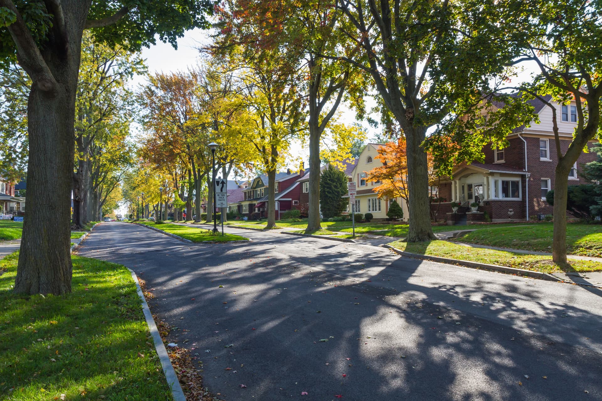 Historic architecture along a tree-lined street in a Buffalo neighborhood.