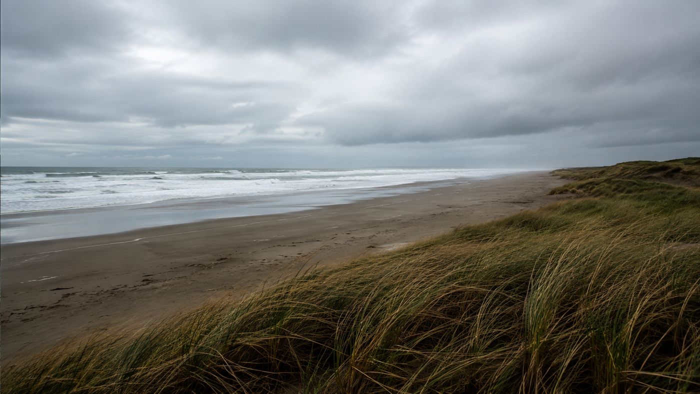 The rugged Pacific coastline near Ocean City, Washington, with grey waves and windswept beach grass