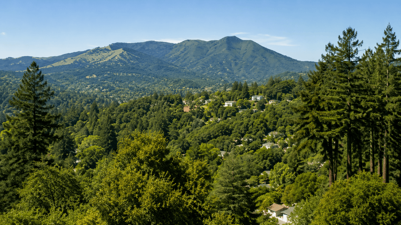 The wooded hillsides of Kentfield, California, in central Marin County, with mature redwoods and oak trees and the green hills of Mount Tamalpais in the distance.